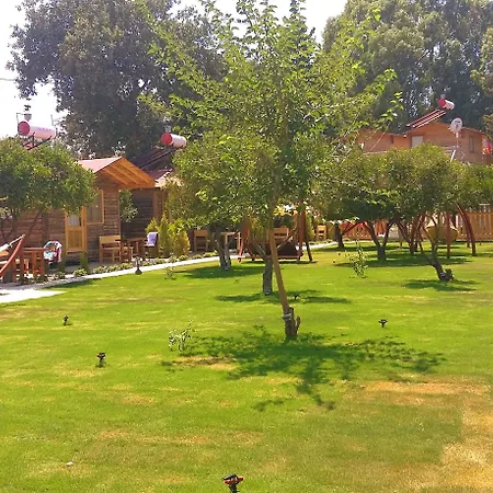 Pitos 3* Gümüşlük