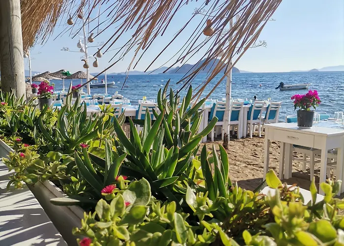 Pitos Hotel Gümüşlük