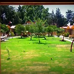 Pitos 3* Gumusluk