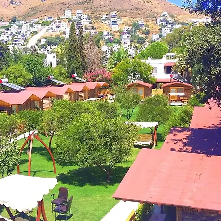 Hotel Pitos 3*