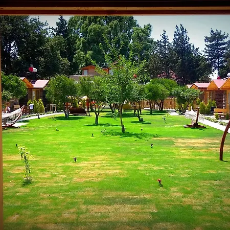 Pitos 3* Gümüşlük